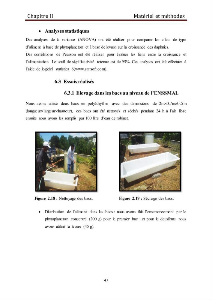 Les daphnies : caractéristiques, production et valorisation