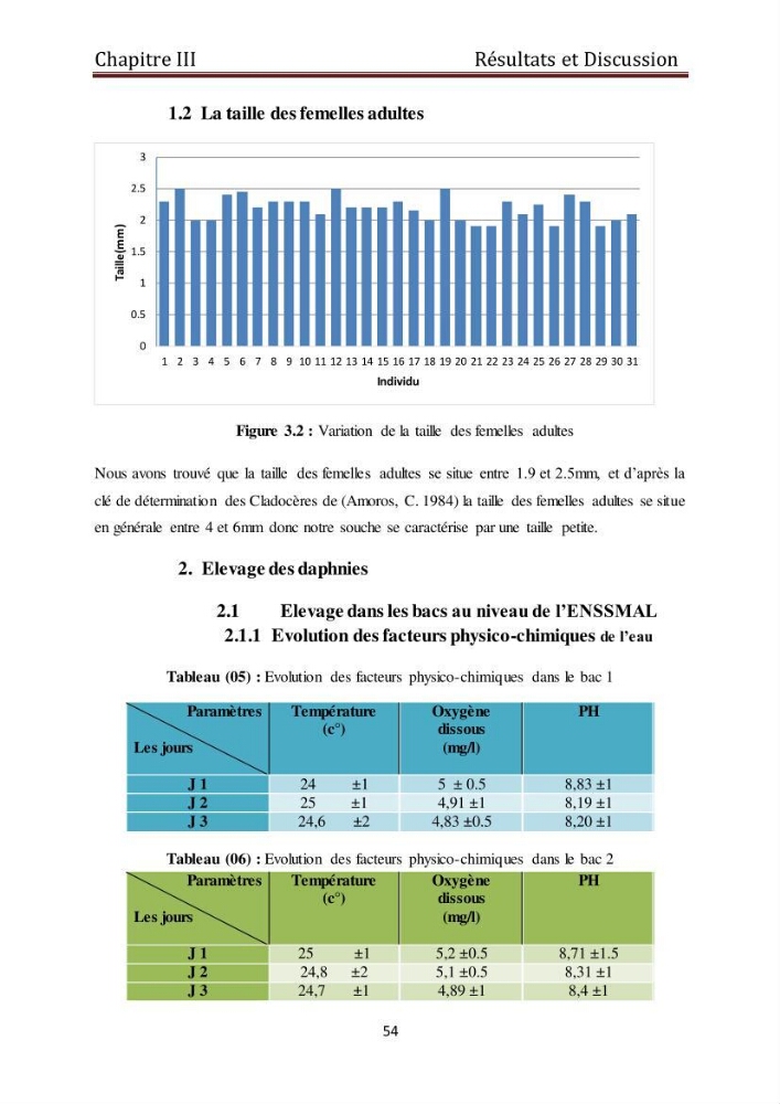 Les daphnies : caractéristiques, production et valorisation