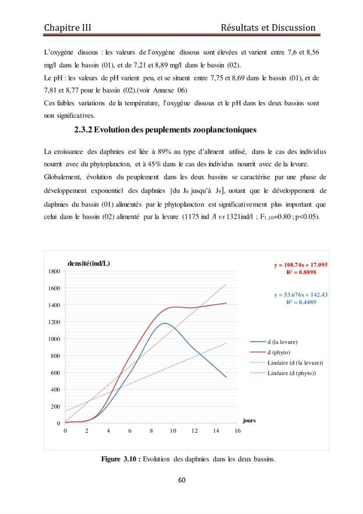 Les daphnies : caractéristiques, production et valorisation