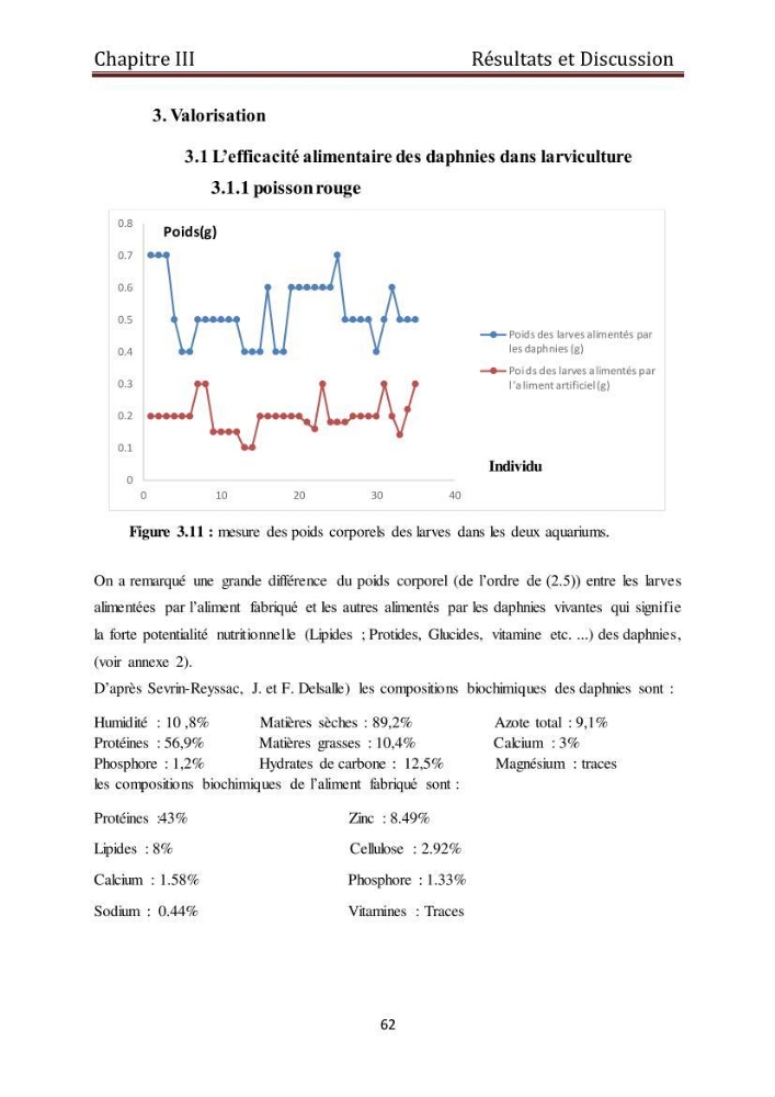 Les daphnies : caractéristiques, production et valorisation