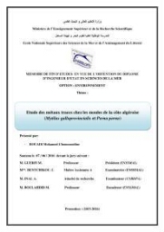 Etude des métaux traces chez les moules de la côte algeroise