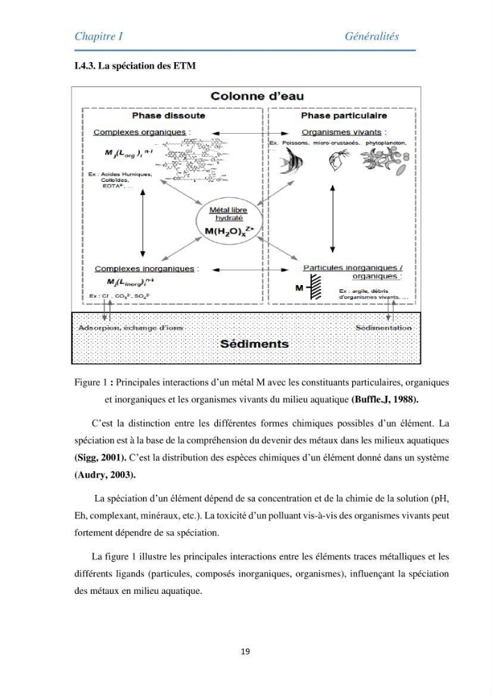 Etude des métaux traces chez les moules de la côte algeroise