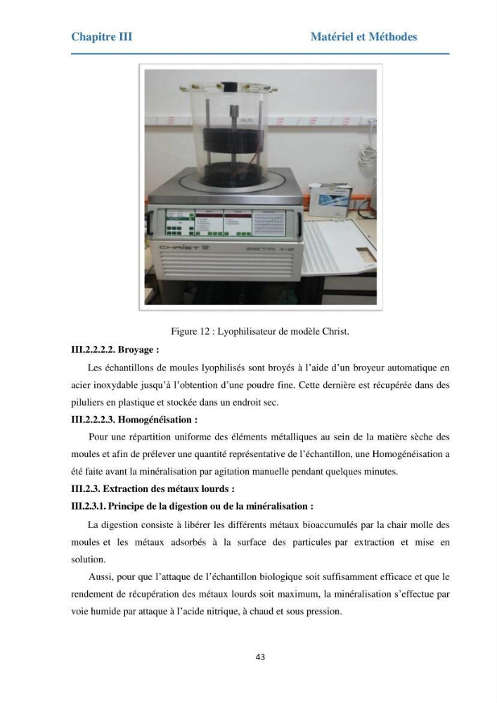 Etude des métaux traces chez les moules de la côte algeroise