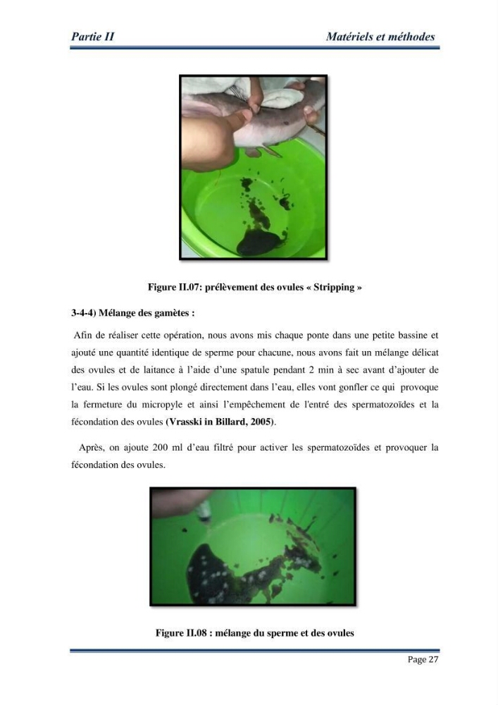 Maitrise de la reproduction artificielle et étude comparative de la croissance du poisson-chat africain Clarias gariepinus (Bruchell,1822 ) selon trois formules d\'aliments