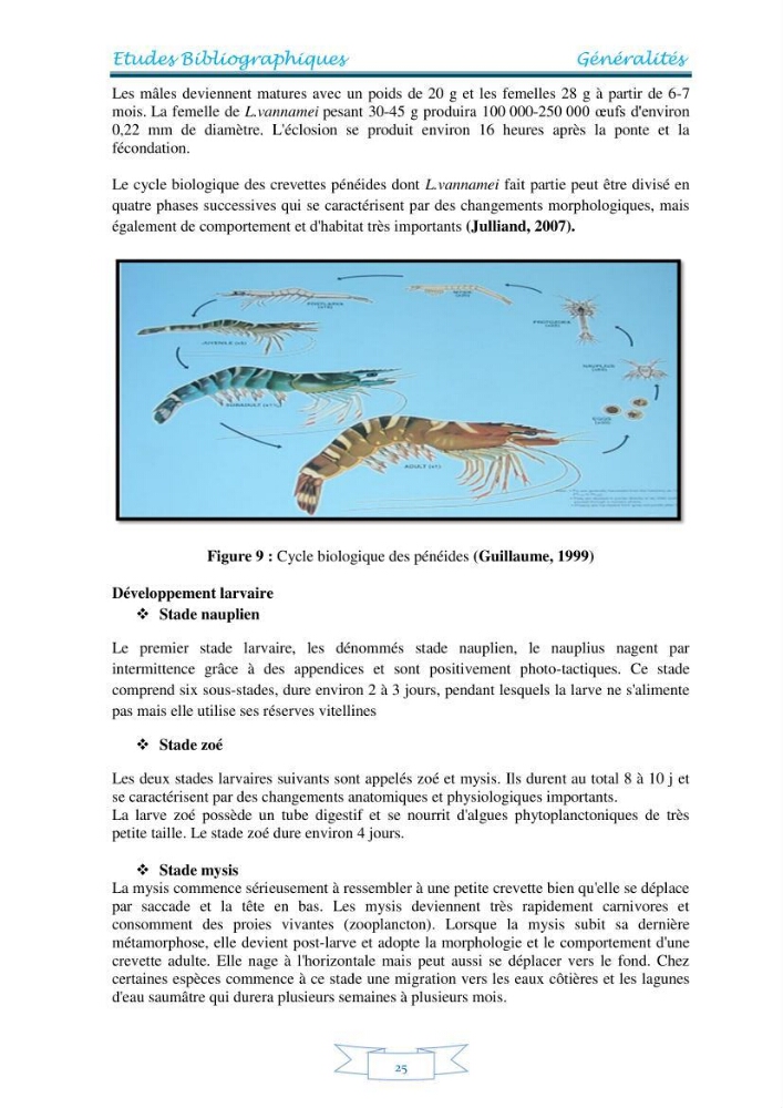 Contribution à la maîtrise des procédés d\'élevage de la crevette à pattes blanches Litopénaeus vannamel à basse salinité avec le système de biofloc dans la ferme pilote de crevetticulture de Hassi ben Abdallah (Ouargla):