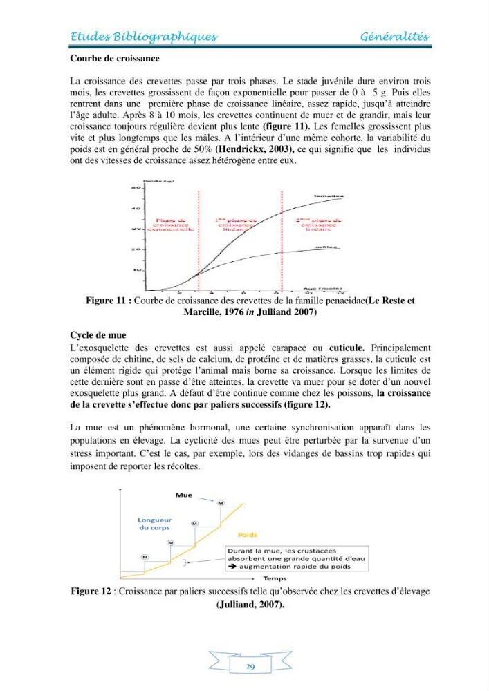 Contribution à la maîtrise des procédés d\'élevage de la crevette à pattes blanches Litopénaeus vannamel à basse salinité avec le système de biofloc dans la ferme pilote de crevetticulture de Hassi ben Abdallah (Ouargla):