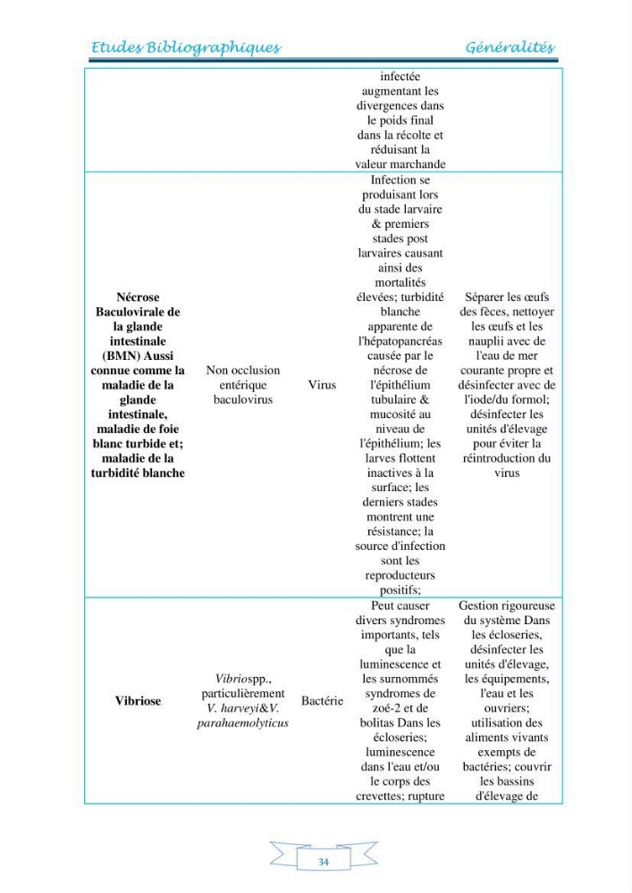 Contribution à la maîtrise des procédés d\'élevage de la crevette à pattes blanches Litopénaeus vannamel à basse salinité avec le système de biofloc dans la ferme pilote de crevetticulture de Hassi ben Abdallah (Ouargla):