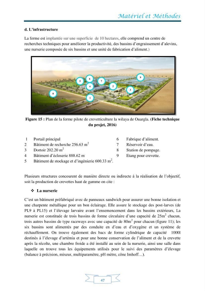 Contribution à la maîtrise des procédés d\'élevage de la crevette à pattes blanches Litopénaeus vannamel à basse salinité avec le système de biofloc dans la ferme pilote de crevetticulture de Hassi ben Abdallah (Ouargla):