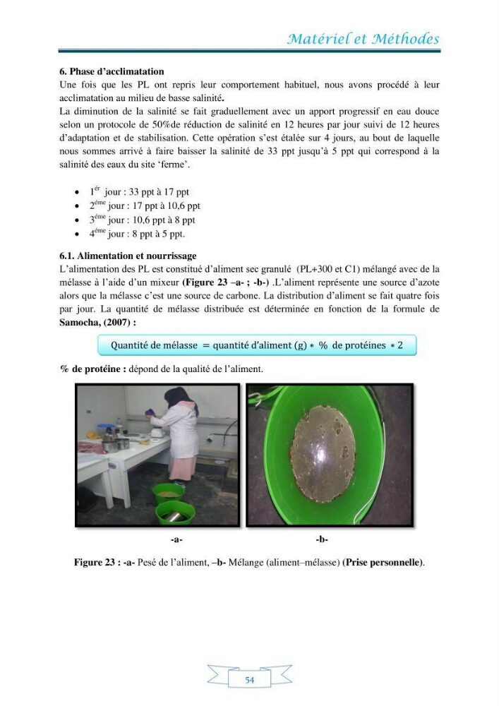 Contribution à la maîtrise des procédés d\'élevage de la crevette à pattes blanches Litopénaeus vannamel à basse salinité avec le système de biofloc dans la ferme pilote de crevetticulture de Hassi ben Abdallah (Ouargla):
