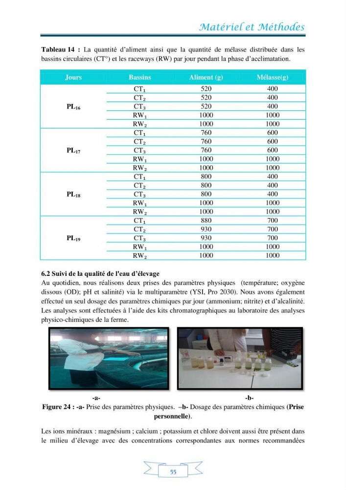 Contribution à la maîtrise des procédés d\'élevage de la crevette à pattes blanches Litopénaeus vannamel à basse salinité avec le système de biofloc dans la ferme pilote de crevetticulture de Hassi ben Abdallah (Ouargla):