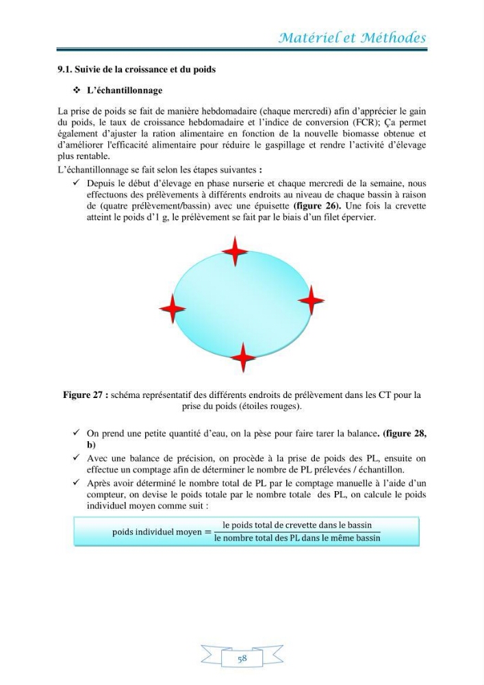 Contribution à la maîtrise des procédés d\'élevage de la crevette à pattes blanches Litopénaeus vannamel à basse salinité avec le système de biofloc dans la ferme pilote de crevetticulture de Hassi ben Abdallah (Ouargla):