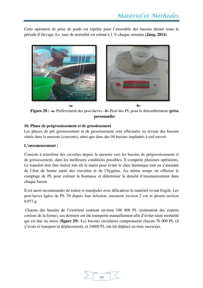 Contribution à la maîtrise des procédés d\'élevage de la crevette à pattes blanches Litopénaeus vannamel à basse salinité avec le système de biofloc dans la ferme pilote de crevetticulture de Hassi ben Abdallah (Ouargla):