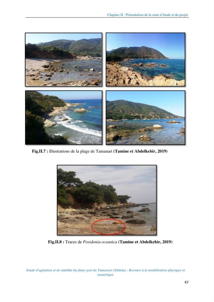 Etude d’agitation et de stabilité du futur port de Tamanart (Skikda): recours à la modélisation physique et numérique
