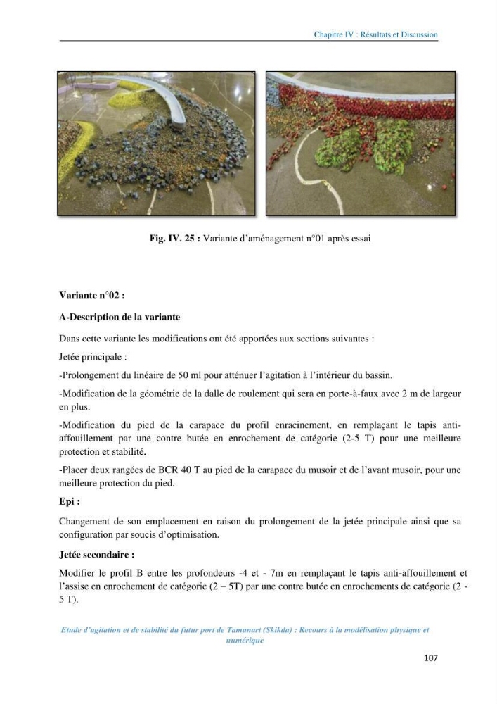 Etude d’agitation et de stabilité du futur port de Tamanart (Skikda): recours à la modélisation physique et numérique