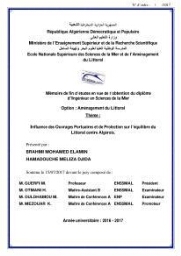 Influence des ouvrages portuaires et de protection sur l'équilibre du littoral centre Algerien: