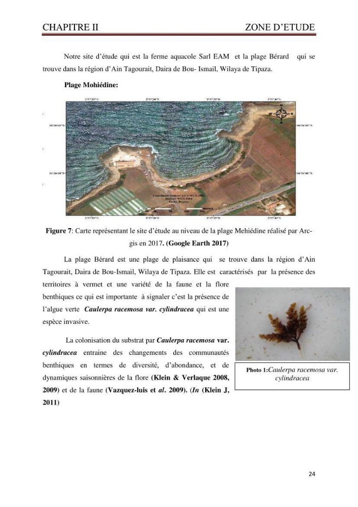 Caractérisation environnementale de la ferme d\'élevage de Daurade Sarl EAM : Ain tagourait Bouismail Tipaza