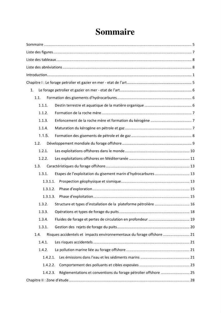 Analyse des impacts environnementaux potentiels du forage pétrolier offshore dans le cadre de l’Analyse du Cycle de Vie (ACV)