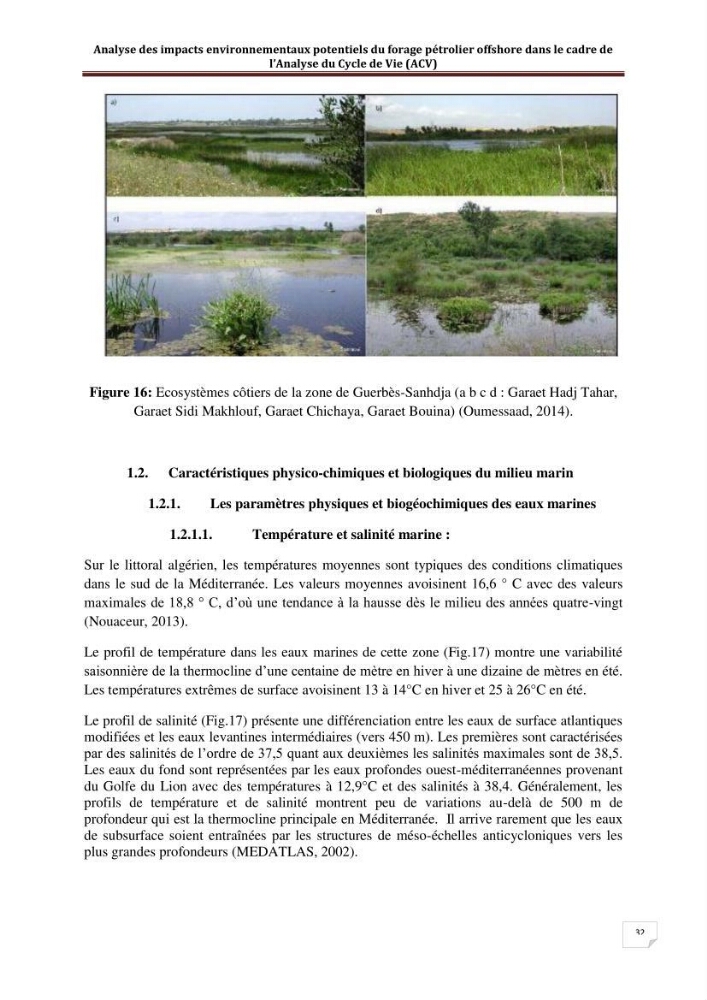 Analyse des impacts environnementaux potentiels du forage pétrolier offshore dans le cadre de l’Analyse du Cycle de Vie (ACV)