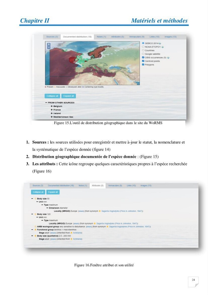 Inventaire des cnidaires de la côte Algérienne
