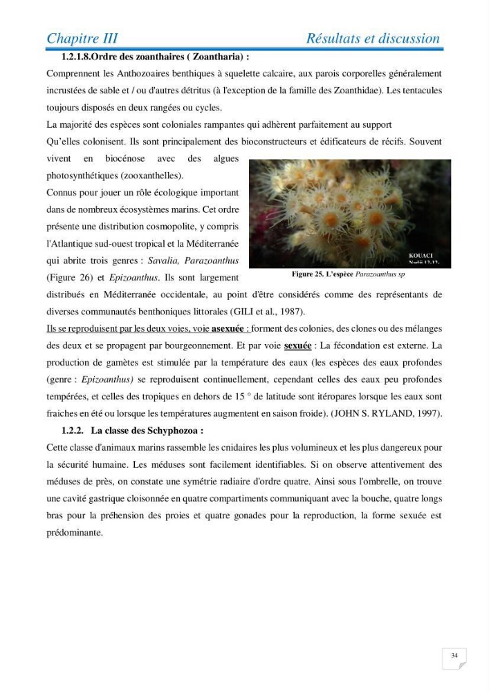 Inventaire des cnidaires de la côte Algérienne