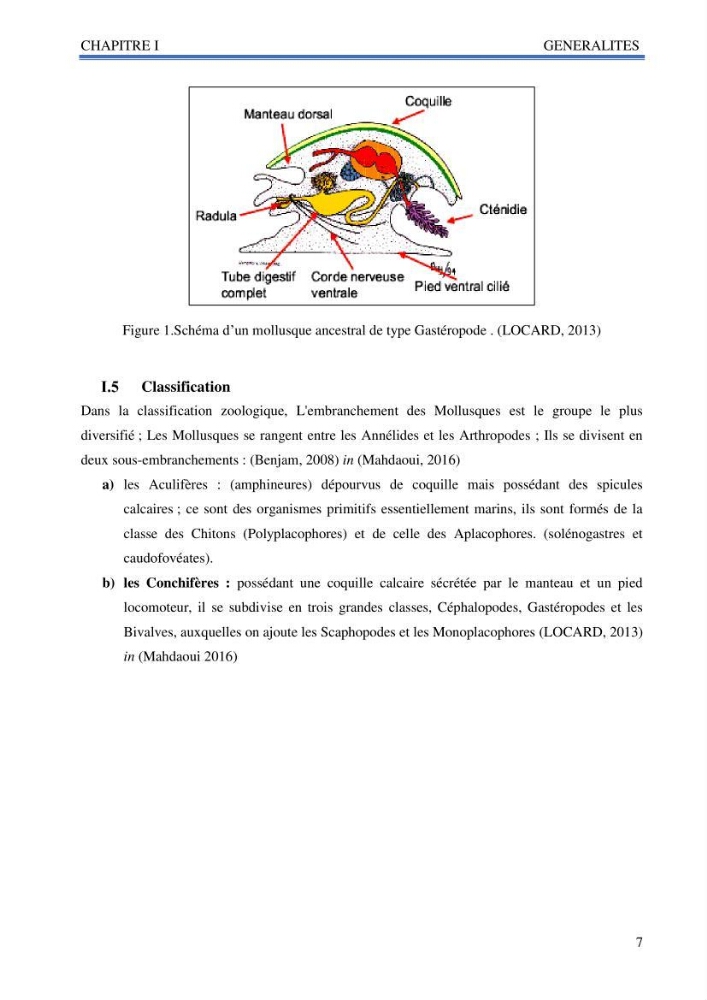 Inventaire des mollusques de la côte Algérienne: