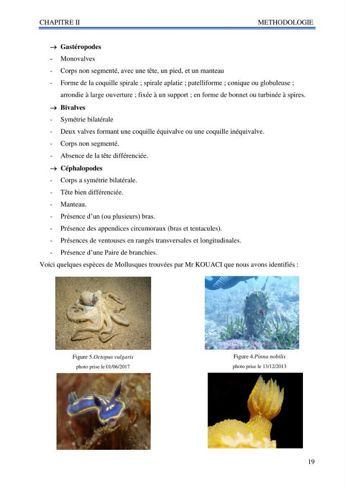 Inventaire des mollusques de la côte Algérienne: