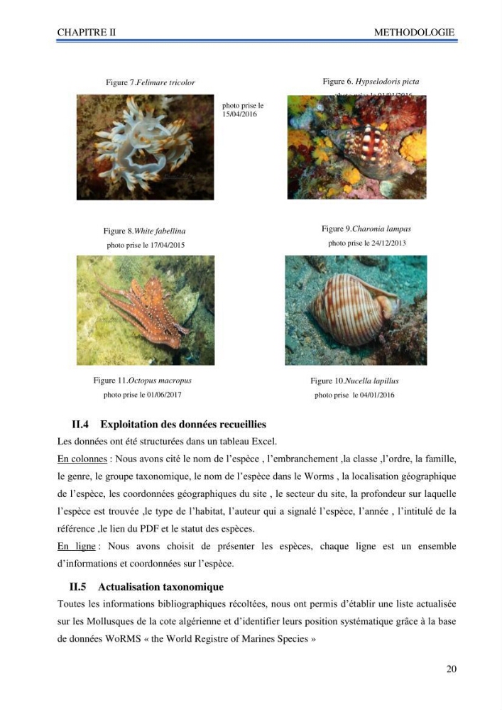 Inventaire des mollusques de la côte Algérienne: