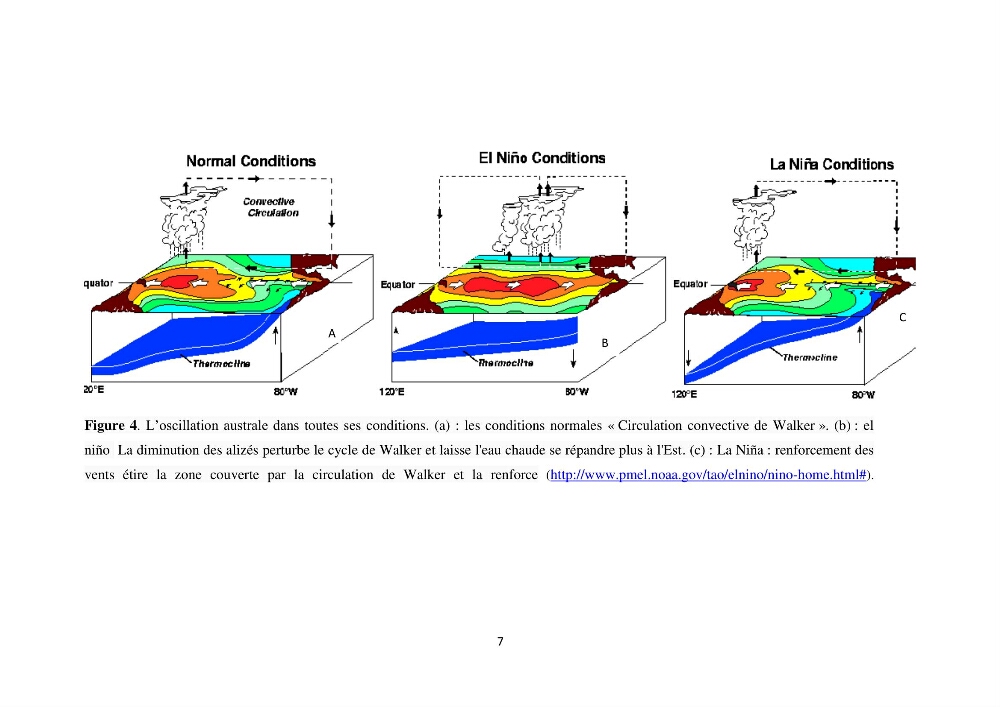 Etude des variabilités climatiques sur la côte Algerienne