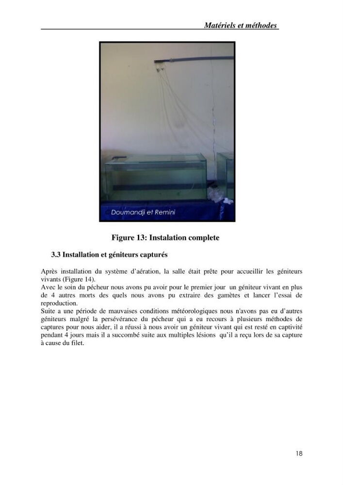 Gestion d\'un élevage de poisson d\'eau de mer