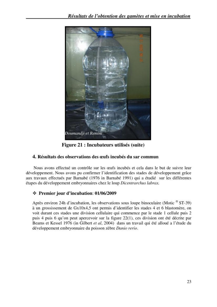 Gestion d\'un élevage de poisson d\'eau de mer