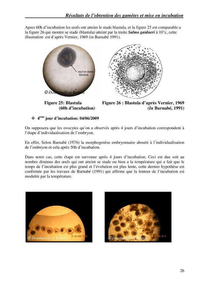 Gestion d\'un élevage de poisson d\'eau de mer