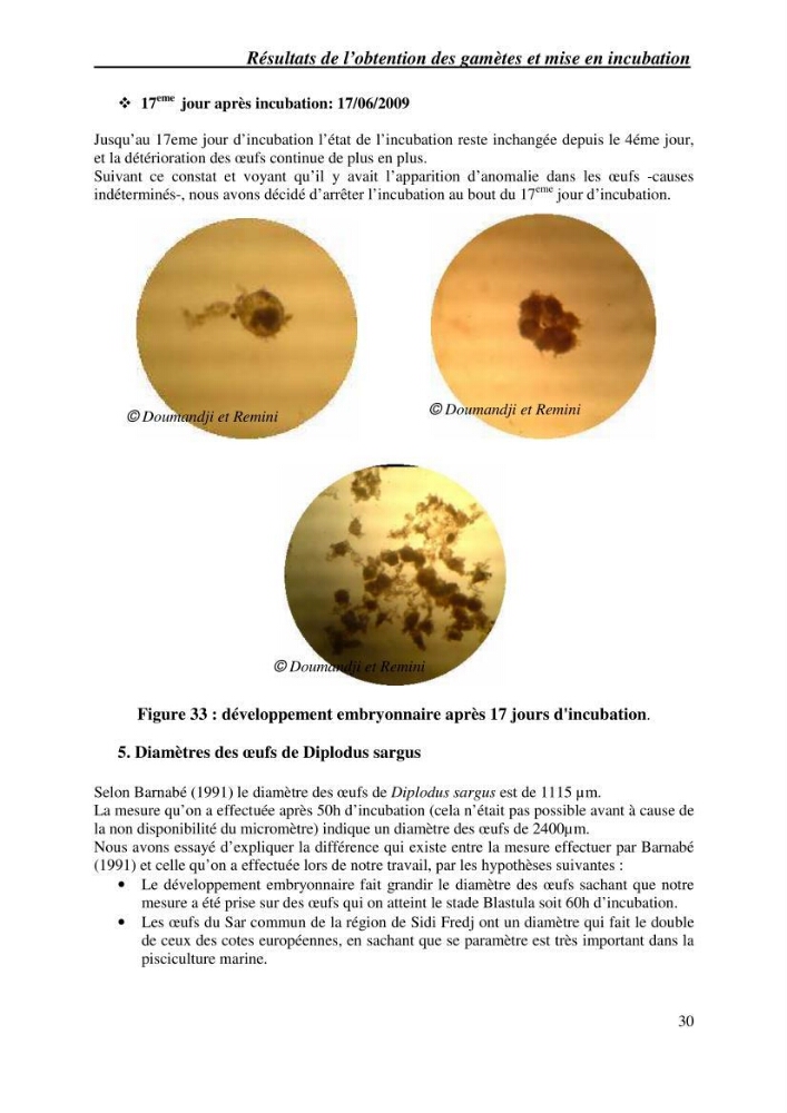 Gestion d\'un élevage de poisson d\'eau de mer