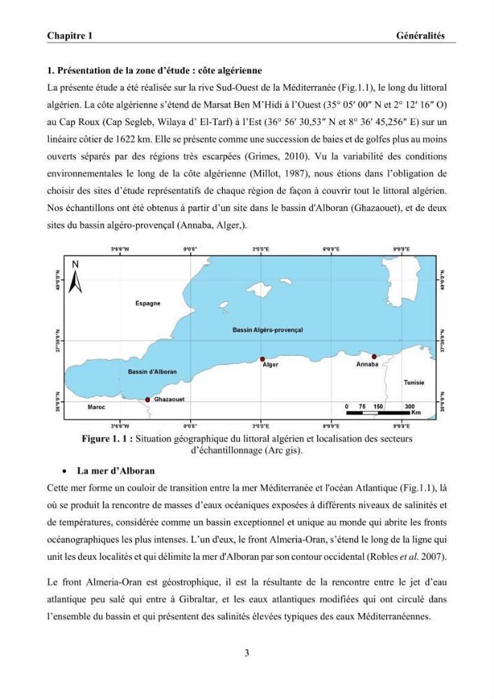 Ostéologie et analyse discriminante : cas des Macrouridae, Chlorophthalmidae, Centrolophidae, et Labridae de la côte algérienne.