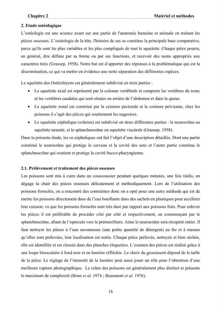 Ostéologie et analyse discriminante : cas des Macrouridae, Chlorophthalmidae, Centrolophidae, et Labridae de la côte algérienne.