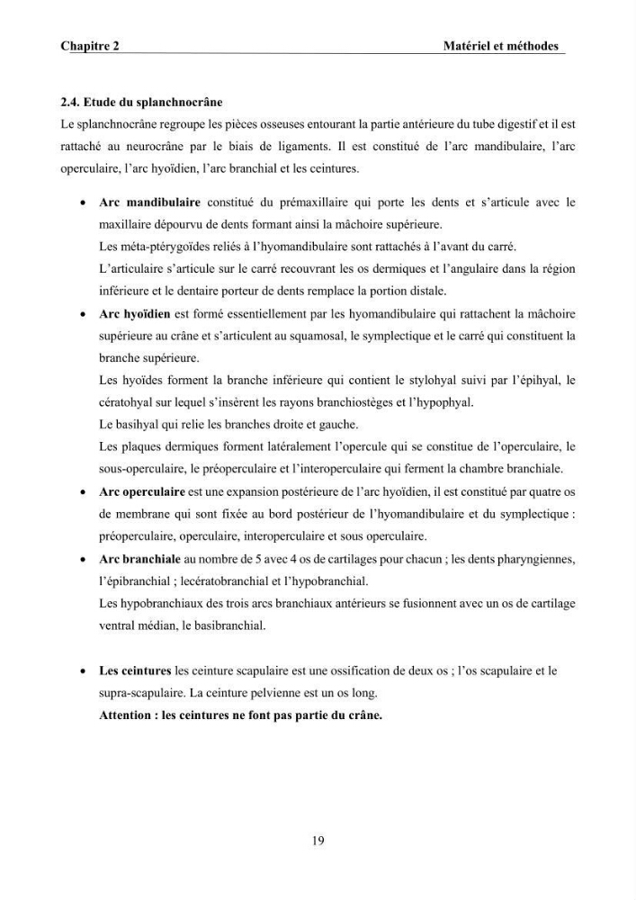 Ostéologie et analyse discriminante : cas des Macrouridae, Chlorophthalmidae, Centrolophidae, et Labridae de la côte algérienne.