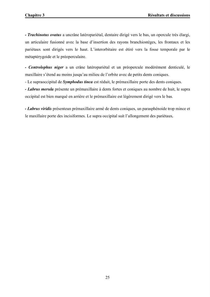 Ostéologie et analyse discriminante : cas des Macrouridae, Chlorophthalmidae, Centrolophidae, et Labridae de la côte algérienne.