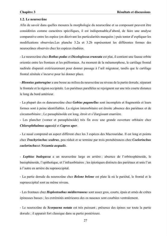 Ostéologie et analyse discriminante : cas des Macrouridae, Chlorophthalmidae, Centrolophidae, et Labridae de la côte algérienne.