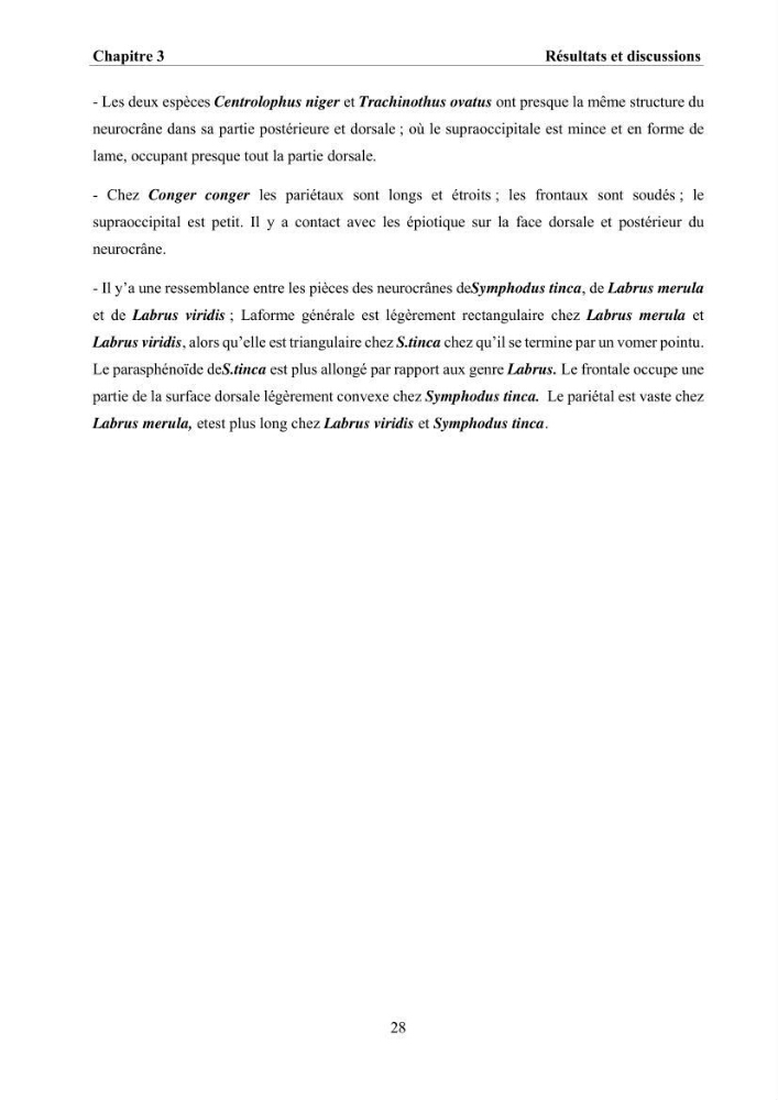Ostéologie et analyse discriminante : cas des Macrouridae, Chlorophthalmidae, Centrolophidae, et Labridae de la côte algérienne.