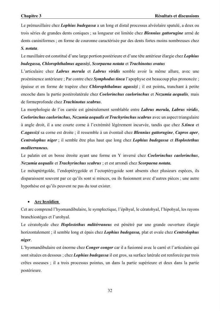 Ostéologie et analyse discriminante : cas des Macrouridae, Chlorophthalmidae, Centrolophidae, et Labridae de la côte algérienne.