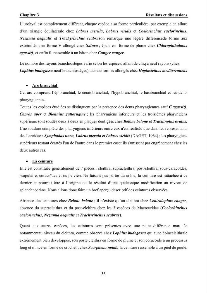 Ostéologie et analyse discriminante : cas des Macrouridae, Chlorophthalmidae, Centrolophidae, et Labridae de la côte algérienne.