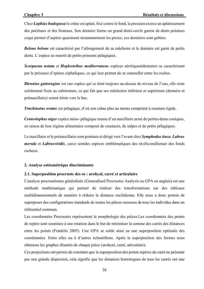 Ostéologie et analyse discriminante : cas des Macrouridae, Chlorophthalmidae, Centrolophidae, et Labridae de la côte algérienne.