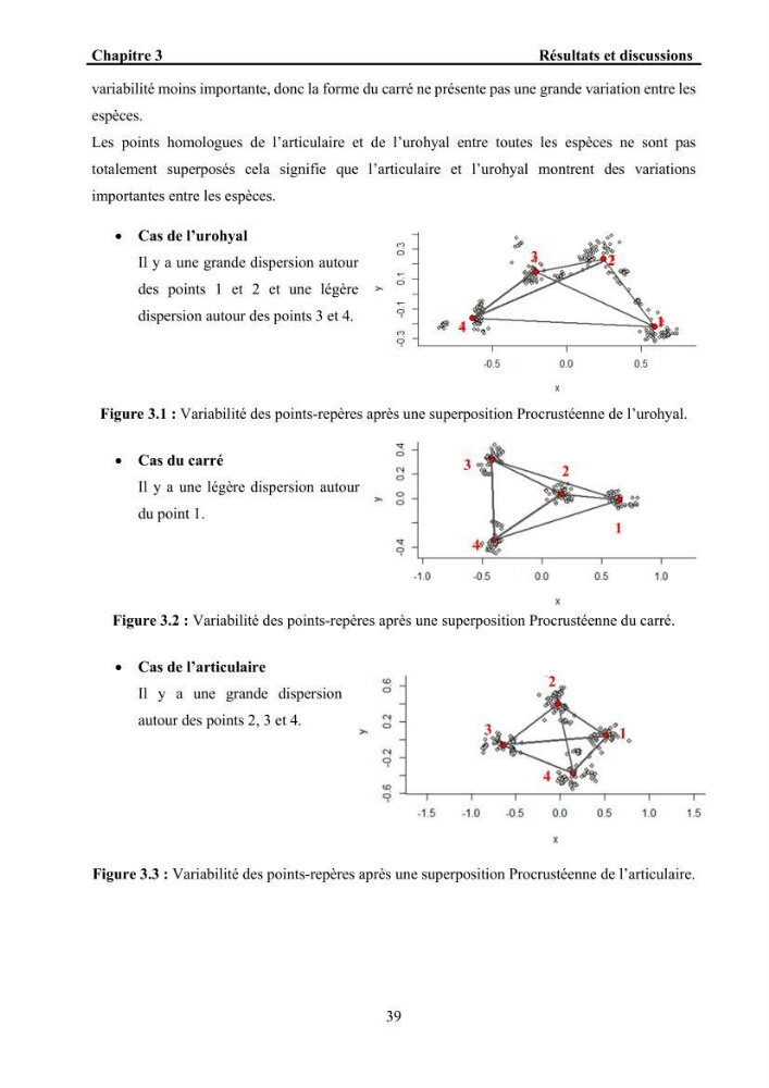 Ostéologie et analyse discriminante : cas des Macrouridae, Chlorophthalmidae, Centrolophidae, et Labridae de la côte algérienne.