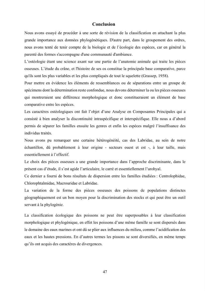 Ostéologie et analyse discriminante : cas des Macrouridae, Chlorophthalmidae, Centrolophidae, et Labridae de la côte algérienne.