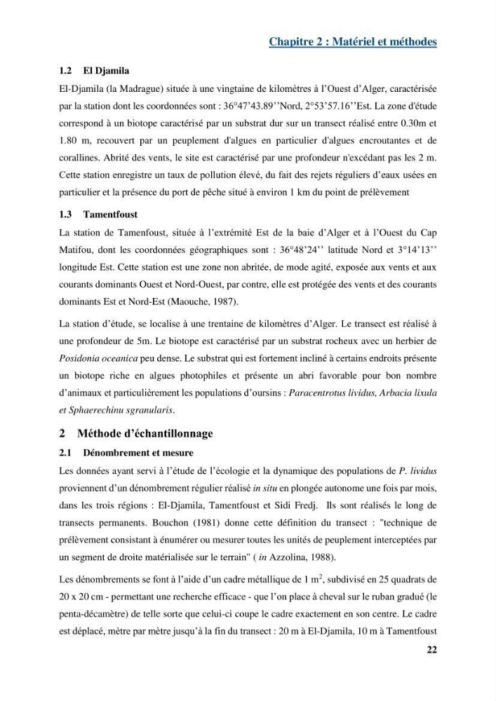 Dynamique,biologie et écologie de l\'oursin comestible Paracentrotus lividus (Lamarc,1816) de la côte algéroise