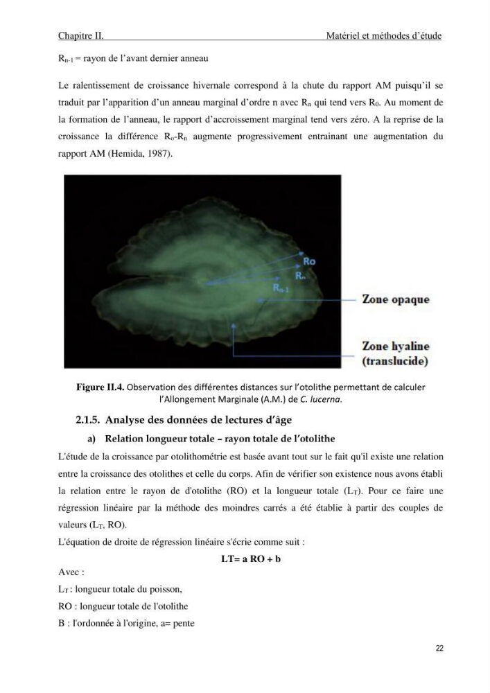 Contribution à l\'étude de la croissance et de l\'exploitation du genre Chelidonichthys ( Actinopteri, Triglidae) dans la côte Algérienne: