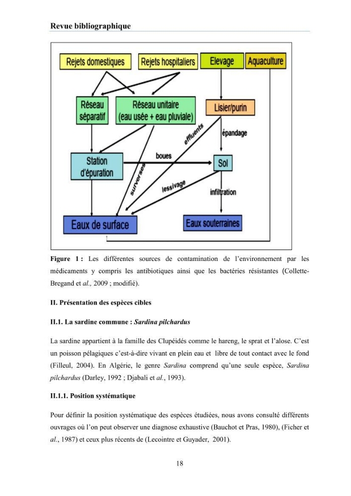 Evaluation et caractérisation de la résistance aux antibiotiques chez des bactéries à Gram négatif isolées à partir de milieux et d’animaux aquatiques:
