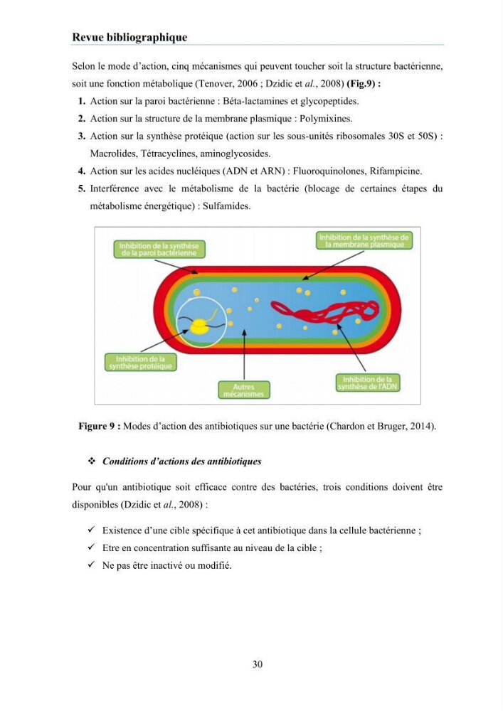 Evaluation et caractérisation de la résistance aux antibiotiques chez des bactéries à Gram négatif isolées à partir de milieux et d’animaux aquatiques: