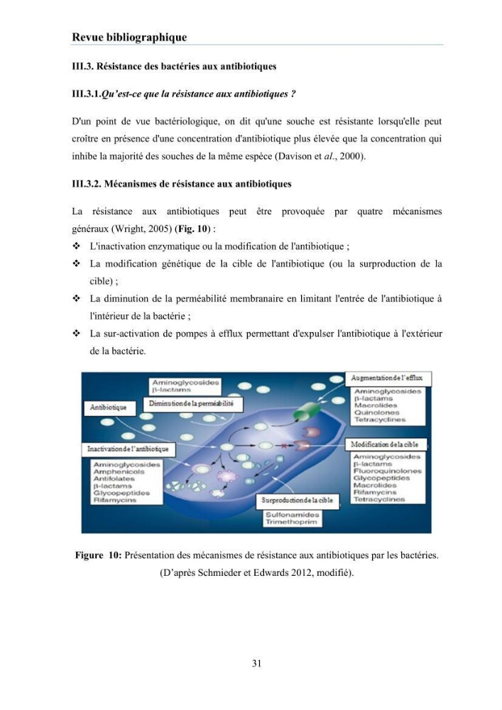 Evaluation et caractérisation de la résistance aux antibiotiques chez des bactéries à Gram négatif isolées à partir de milieux et d’animaux aquatiques: