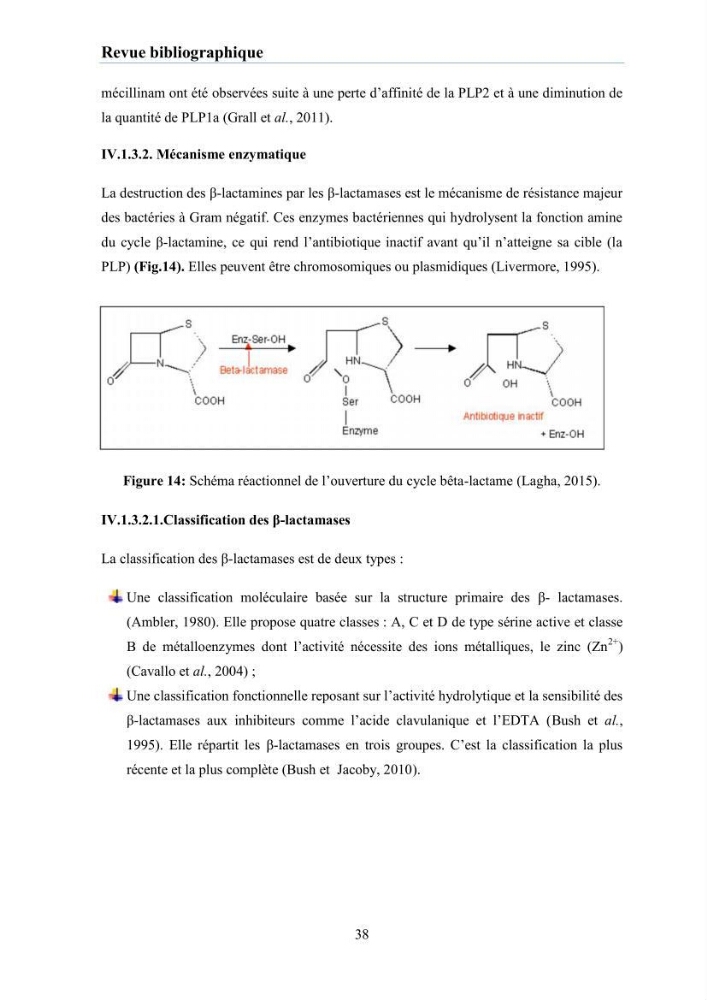 Evaluation et caractérisation de la résistance aux antibiotiques chez des bactéries à Gram négatif isolées à partir de milieux et d’animaux aquatiques: