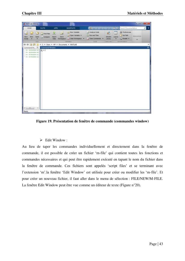 Contribution à la compréhension de la hausse Soudaine du Niveau de la mer